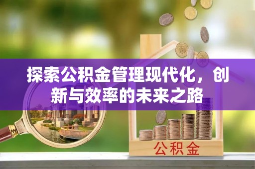 白云探索公积金管理现代化，创新与效率的未来之路