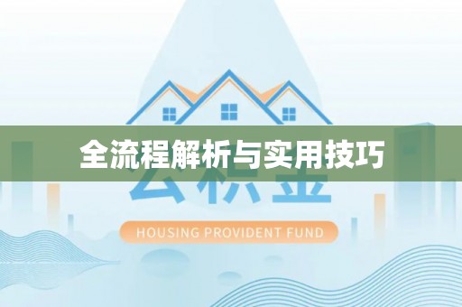 白云全流程解析与实用技巧