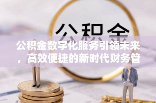 白云公积金数字化服务引领未来，高效便捷的新时代财务管理