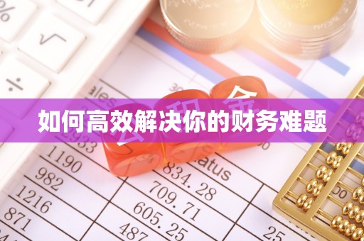 白云如何高效解决你的财务难题