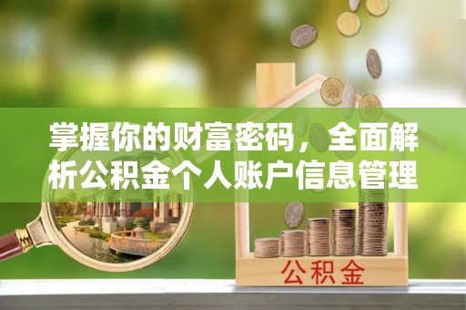 白云掌握你的财富密码，全面解析公积金个人账户信息管理