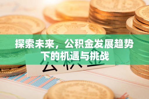 白云探索未来，公积金发展趋势下的机遇与挑战