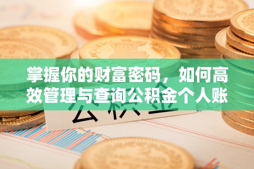 白云掌握你的财富密码，如何高效管理与查询公积金个人账户信息