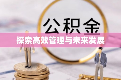 白云探索高效管理与未来发展