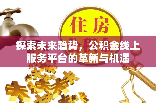 白云探索未来趋势，公积金线上服务平台的革新与机遇
