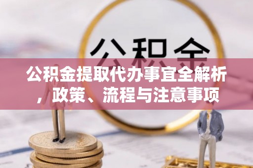 白云公积金提取代办事宜全解析，政策、流程与注意事项