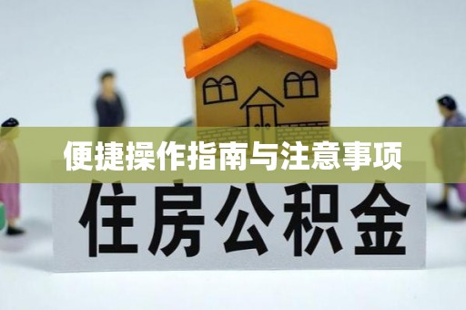 白云便捷操作指南与注意事项